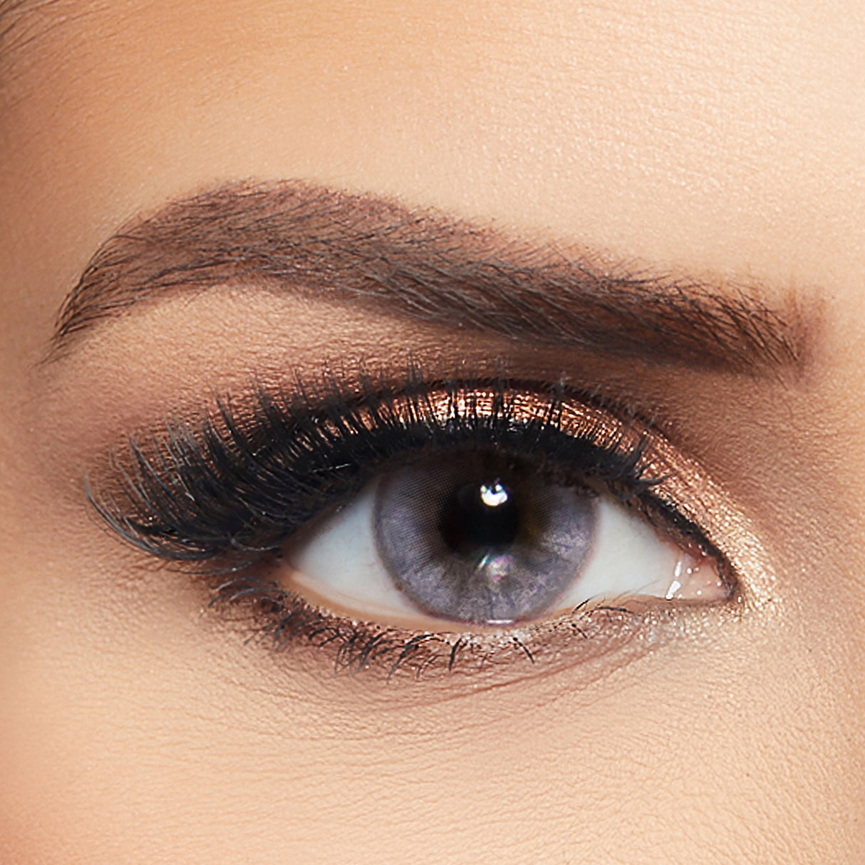 Layala Contact Lens (Golden Gray - Limited)