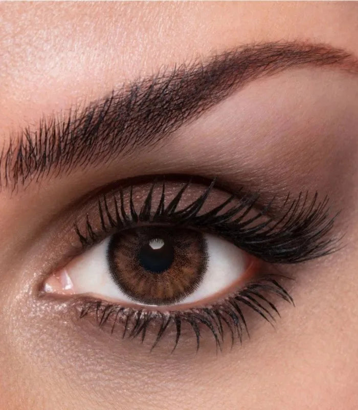 BnL Lacelle stylish brown