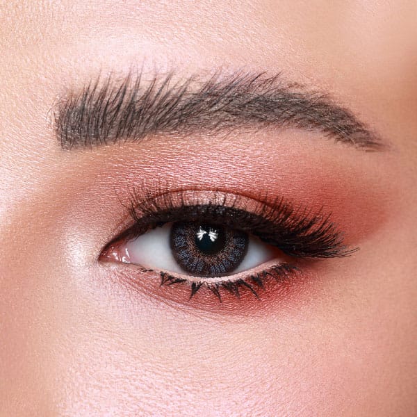 Amara 10pk Daily Lens gray