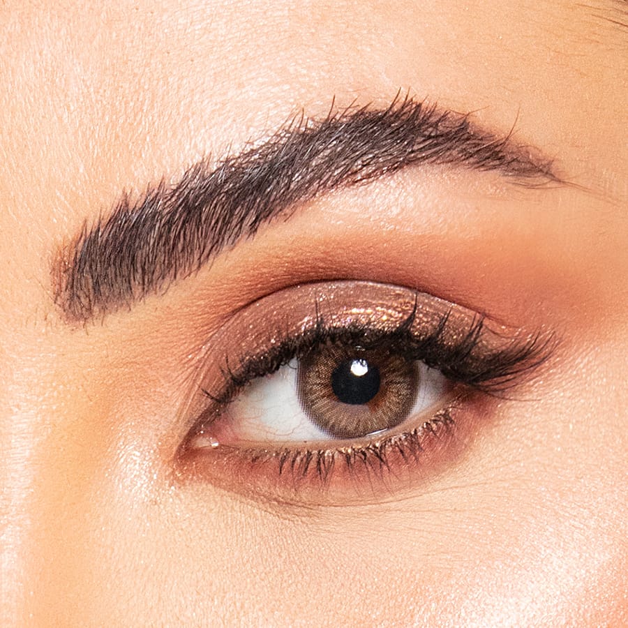 Amara 10pk Daily Lens moon stone