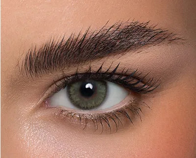 Anesthesia Anesthetic 6 Months (14 Colors Available)