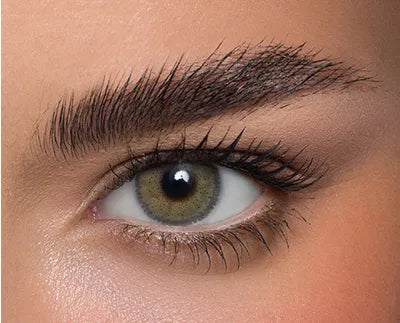 Anesthesia USA 6 Months (12 Colors Available)