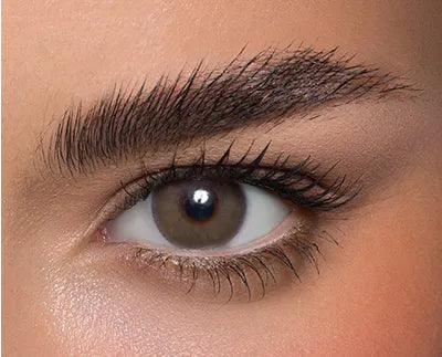 Anesthesia USA 6 Months (12 Colors Available)