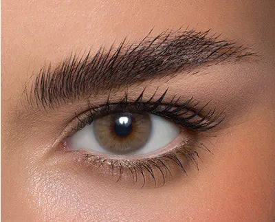 Anesthesia USA 6 Months (12 Colors Available)