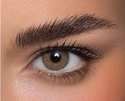 Anesthesia USA 6 Months (12 Colors Available)