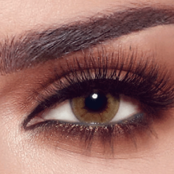 Bella 1 Day Colors (10pcs)