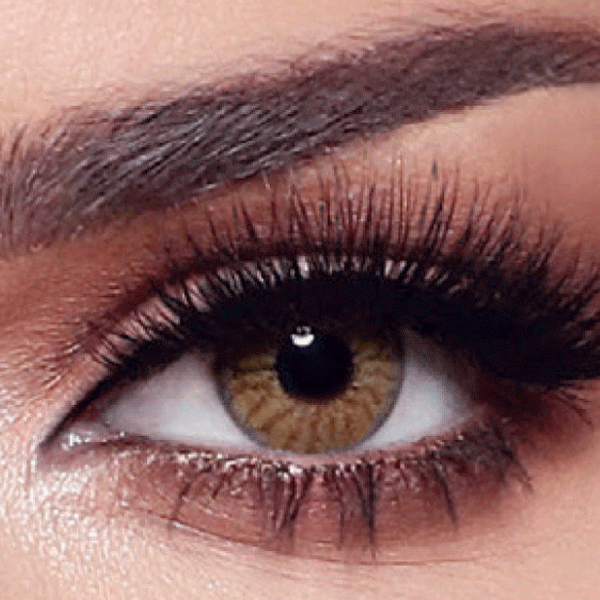 Bella 1 Day Colors (10pcs)