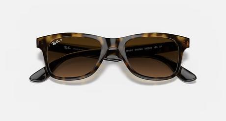 Ray-Ban  RB4640F 710/M2 52