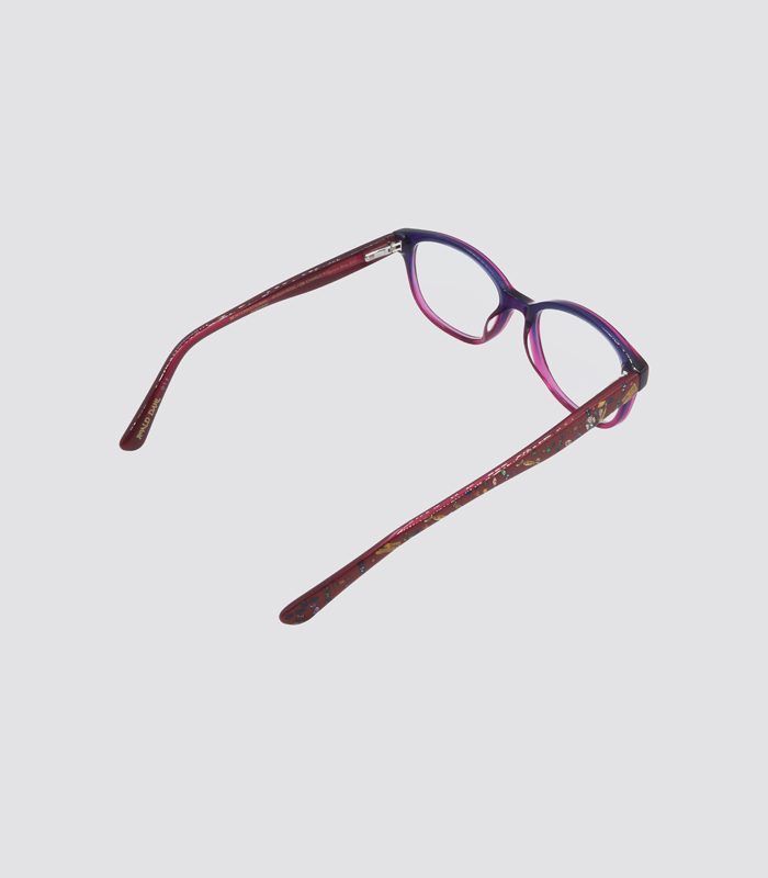Roald Dahl Kid's Frame RD05 C2 (7 to 10 y-o) with Anti reflective coat ...