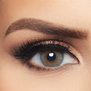 Layala Contact Lens (Golden Gray - Limited)